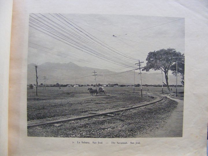 biblioteca 301 copy.jpg